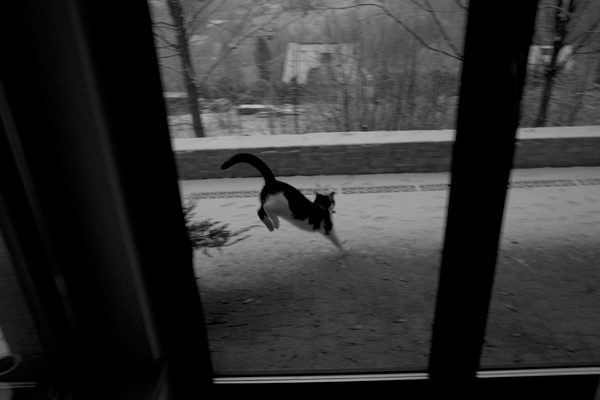 365 :: Tony leaps